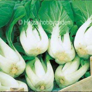 Pak Choi Joi Choi F1 1000 Samen