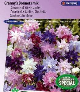 Akelei Aquilegia Vulgaris Granny's Bonnets mix (kopie)