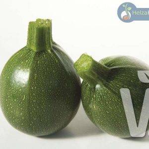 Courgette Satelite F1 courgette/zucchini