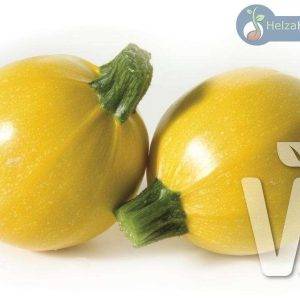 Courgette Floridor F1 courgette/zucchini