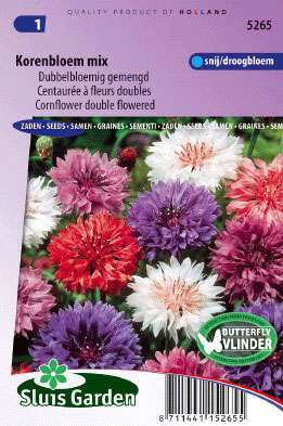 Cornflower Double Mixed, Centaurea