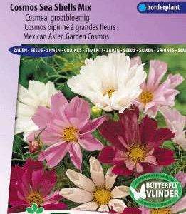 Cosmos Sea Shells Gemengd, Cosmea  5365