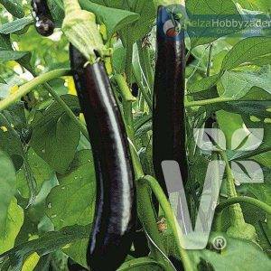 Aubergine Faselis F1 5 zaden