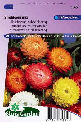 Strobloem Dubbele Gemengd