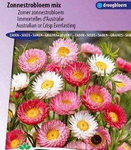Zonnestrobloem gemengd (Helipterum/Acroclinium)