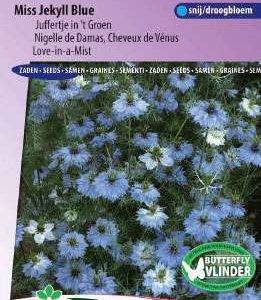 Juffertje in het Groen Hemelsblauw, Nigella