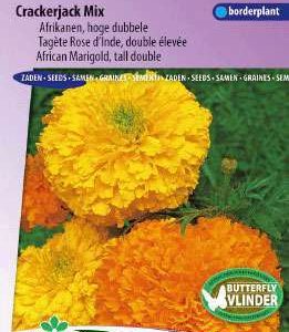 Afrikanen Hoge Dubbele gemengd, Tagetes Erecta