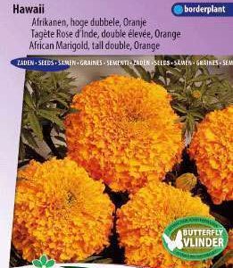 Afrikanen Hoge Dubbele Gemengd,Tagetes Erecta