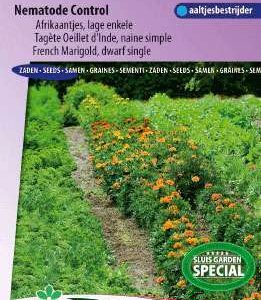 Afrikanen Tagetes patula nana Nematode control