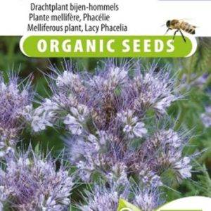 Phacelia tanacetifolia BIO
