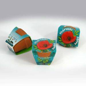 Terracotta Poppy