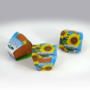 Terracotta Sunflower High Yellow