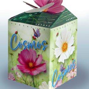 Greengift box, Cosmos per 5 boxes