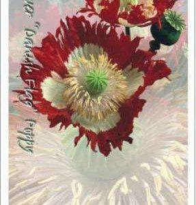 Poppy gifts, 100 bags
