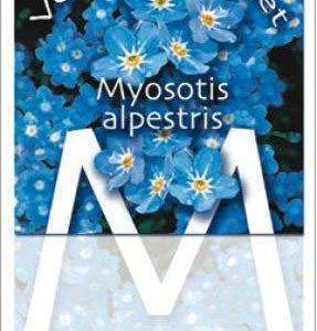 Forget me not gifts, 100 bags