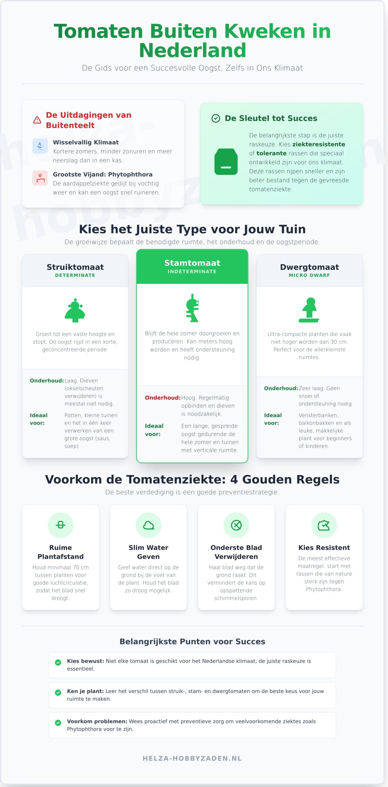 Tomatenzaden voor Buiten: De Beste Rassen voor een Succesvolle Oogst
