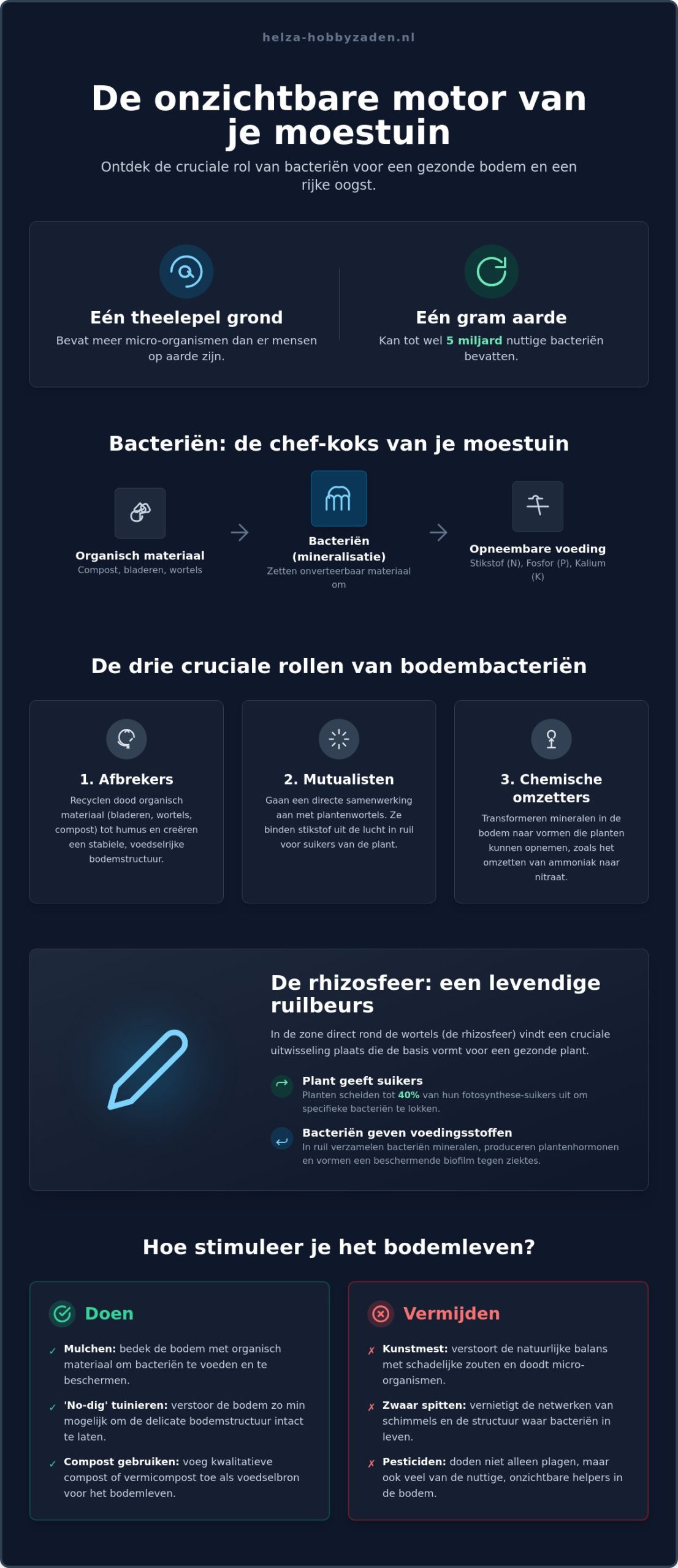 De rol van bacteriën in een gezonde moestuinbodem: de onzichtbare motor achter jouw oogst