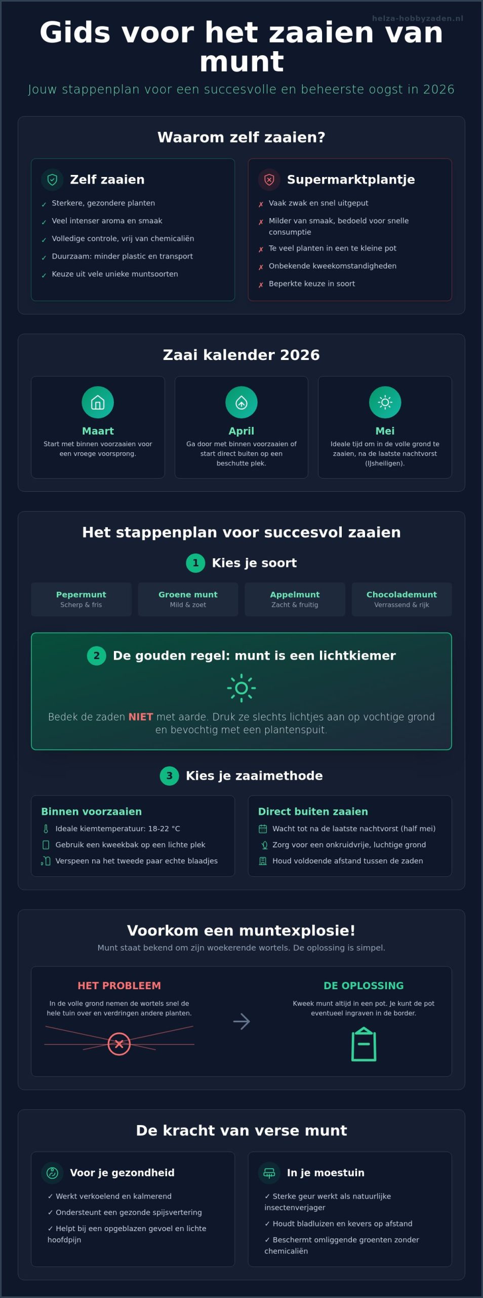 Munt zaaien in 2026: de complete gids voor een geurige kruidentuin